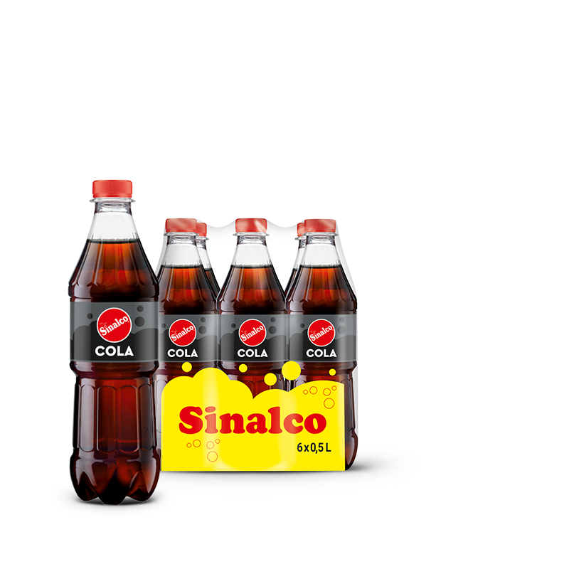 6 x 0,5 L PET Einweg